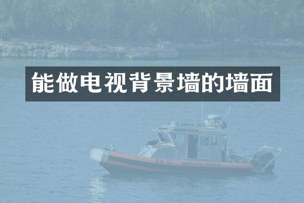 能做电视背景墙的墙面