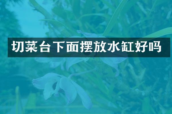 切菜台下面摆放水缸好吗