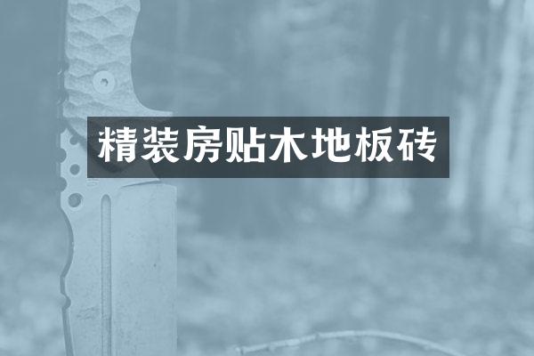 精装房贴木地板砖