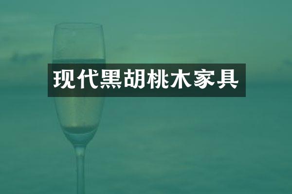 现代黑胡桃木家具