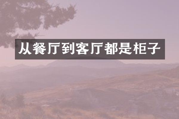 从餐厅到客厅都是柜子