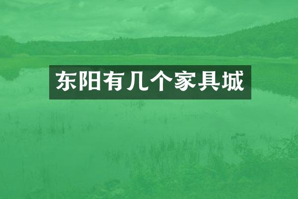 东阳有几个家具城