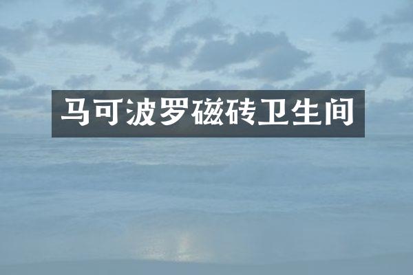 马可波罗磁砖卫生间