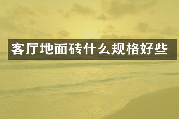 客厅地面砖什么规格好些