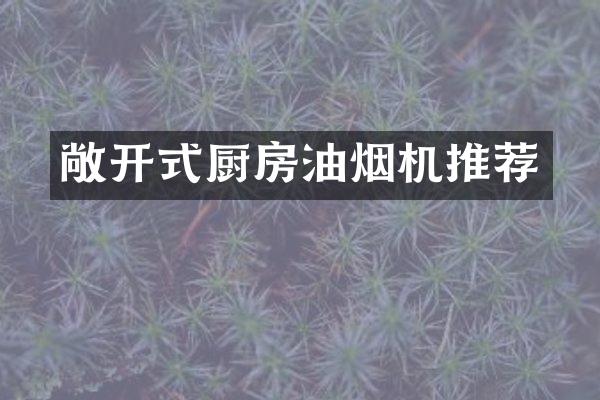 敞开式厨房油烟机推荐
