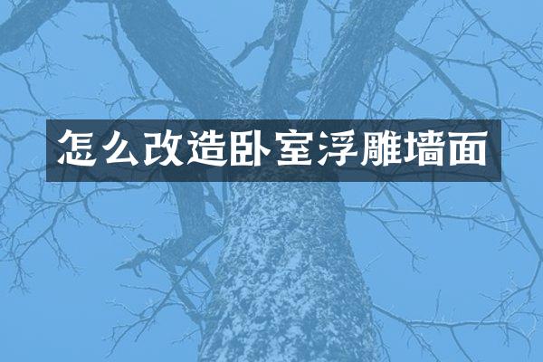 怎么改造卧室浮雕墙面