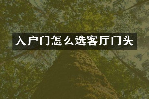入户门怎么选客厅门头