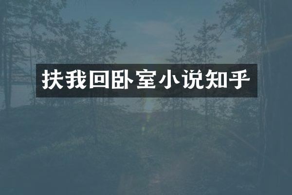 扶我回卧室小说知乎
