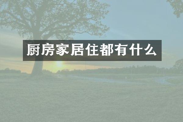 厨房家居住都有什么