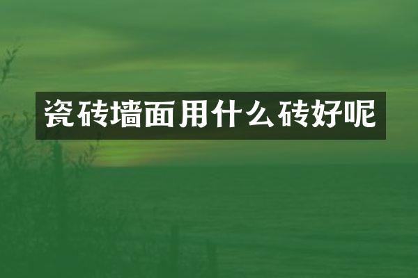 瓷砖墙面用什么砖好呢