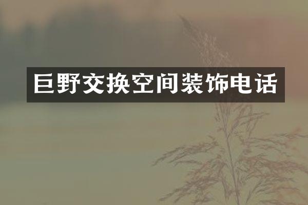 巨野交换空间装饰电话