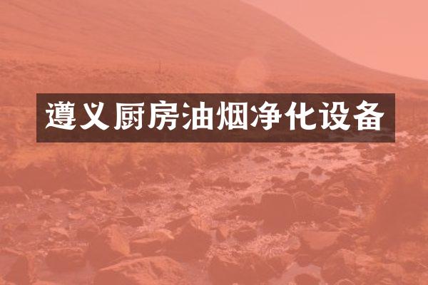 遵义厨房油烟净化设备