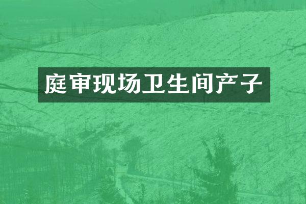 庭审现场卫生间产子