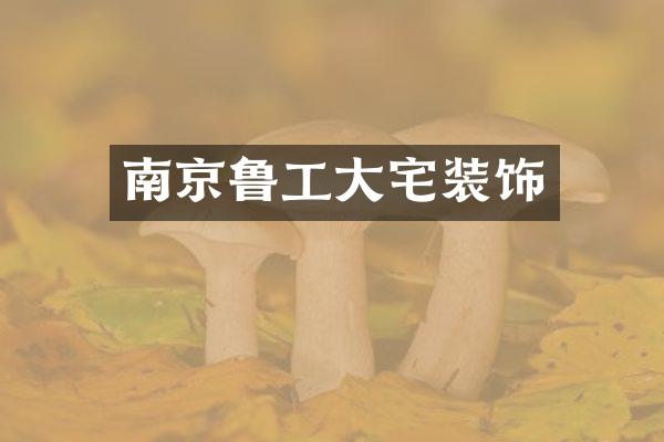 南京鲁工大宅装饰