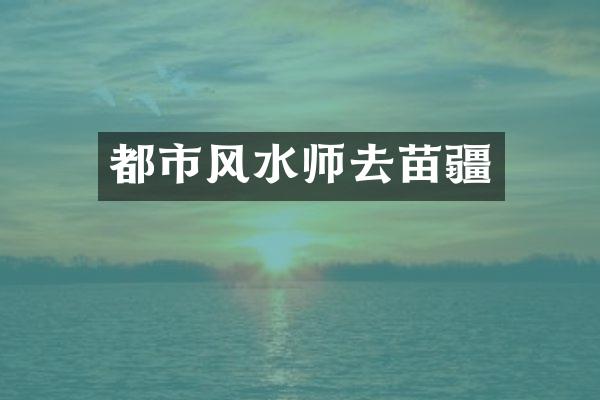 都市风水师去苗疆