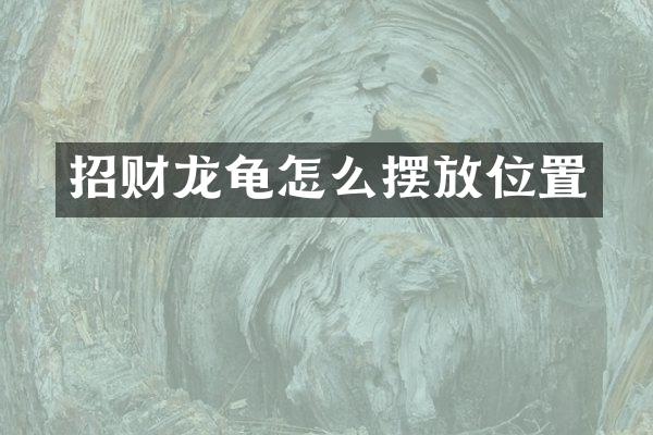 招财龙龟怎么摆放位置