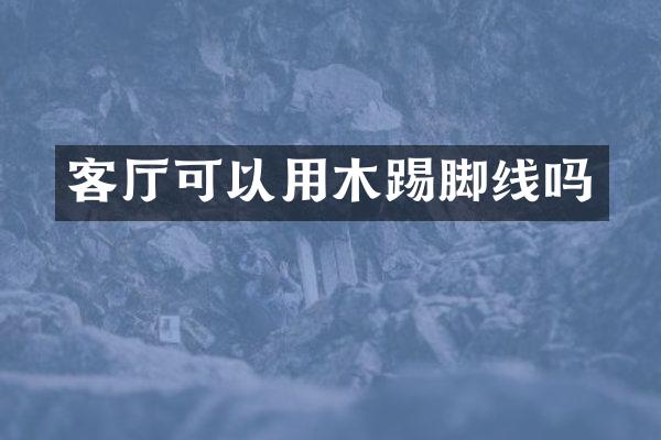 客厅可以用木踢脚线吗