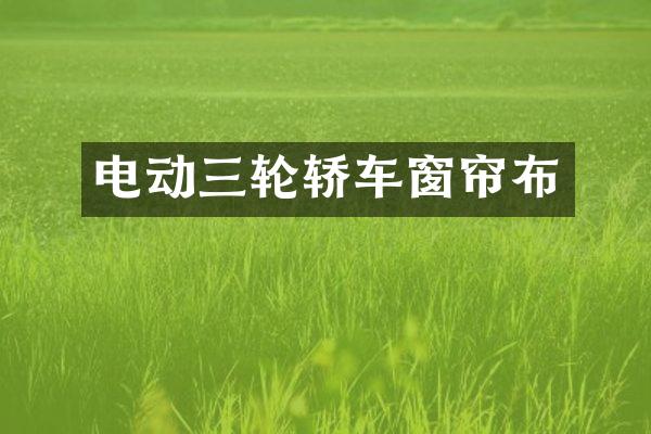 电动三轮轿车窗帘布