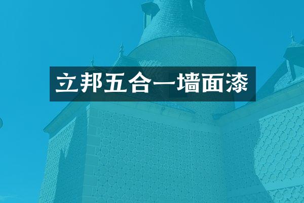 立邦五合一墙面漆