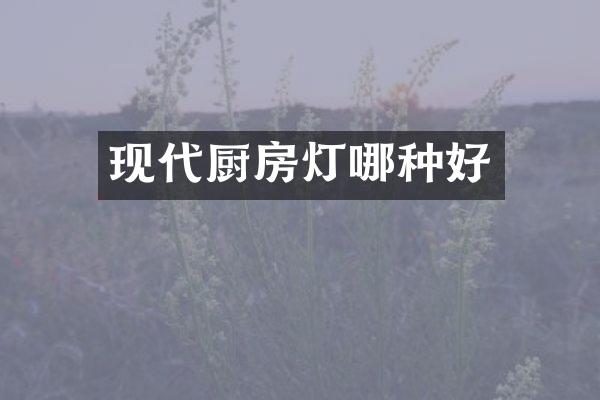 现代厨房灯哪种好