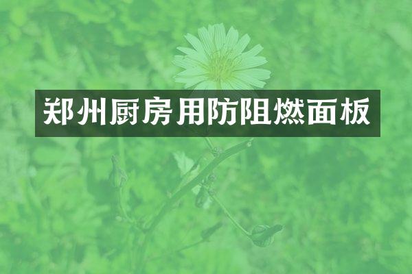 郑州厨房用防阻燃面板