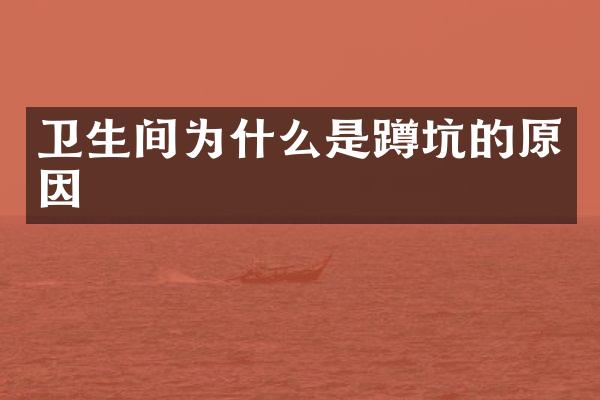 卫生间为什么是蹲坑的原因