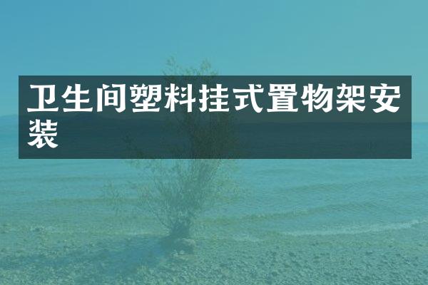 卫生间塑料挂式置物架安装
