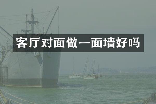 客厅对面做一面墙好吗