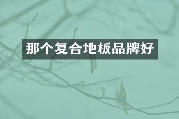 那个复合地板品牌好