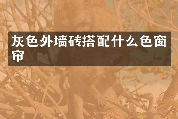 灰色外墙砖搭色窗帘