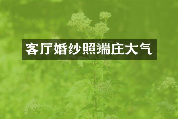 客厅婚纱照端庄大气