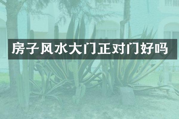 房子风水大门正对门好吗