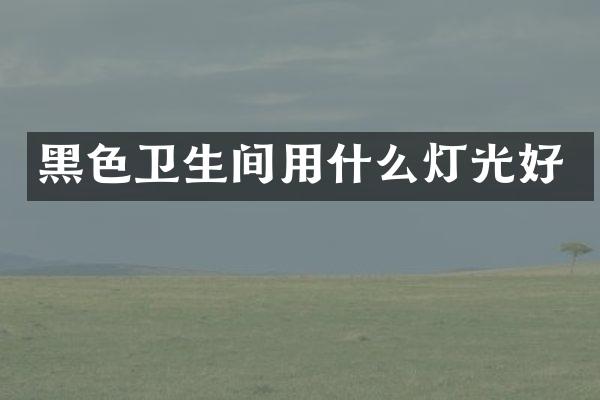 黑色卫生间用什么灯光好