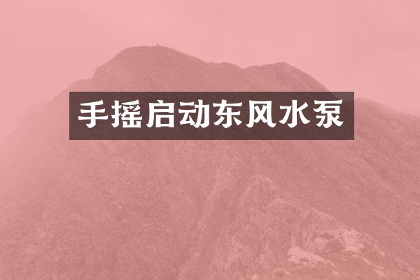 手摇启动东风水泵
