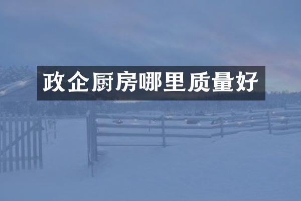 政企厨房哪里质量好