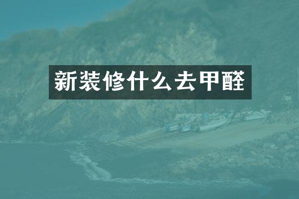 新装修什么去甲醛
