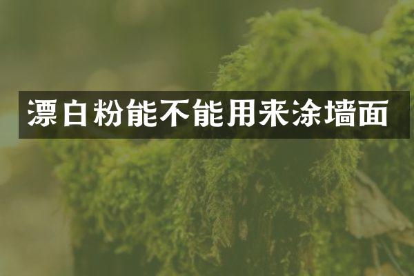 漂白粉能不能用来涂墙面