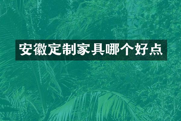 安徽定制家具哪个好点
