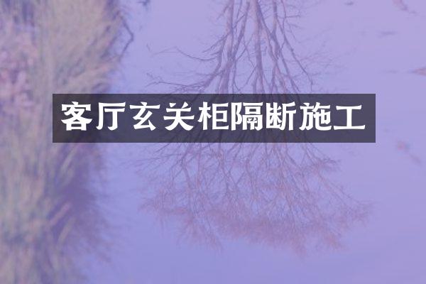 客厅玄关柜隔断施工
