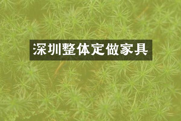 深圳整体定做家具