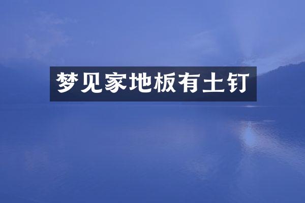 梦见家地板有土钉