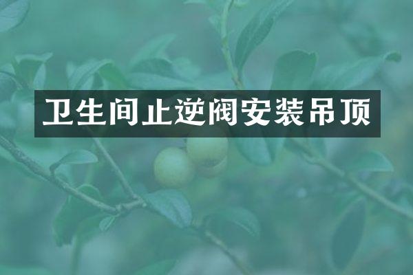卫生间止逆阀安装吊顶