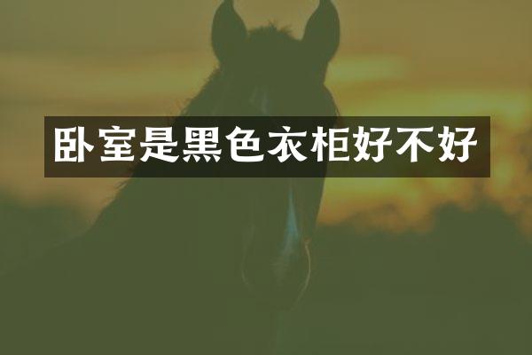 卧室是黑色衣柜好不好