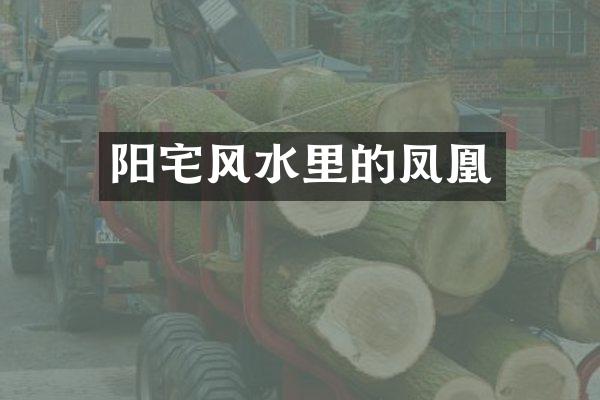 阳宅风水里的凤凰