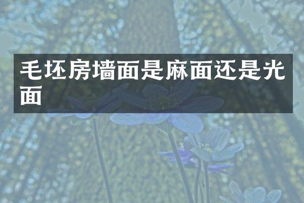 毛坯房墙面是麻面还是光面