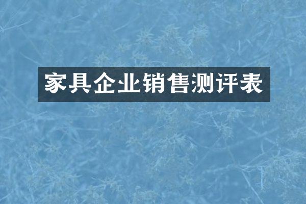 家具企业销售测评表