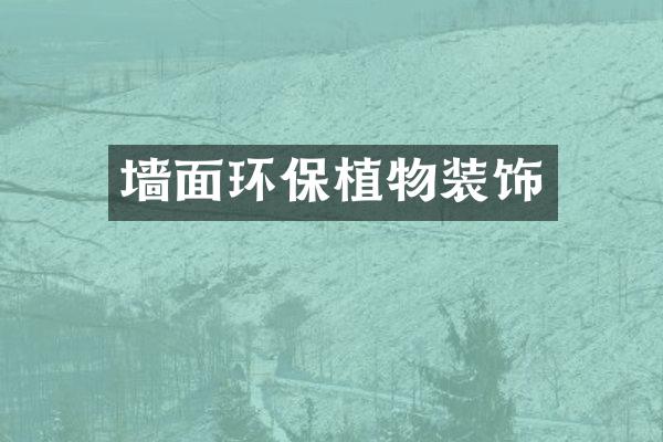 墙面环保植物装饰