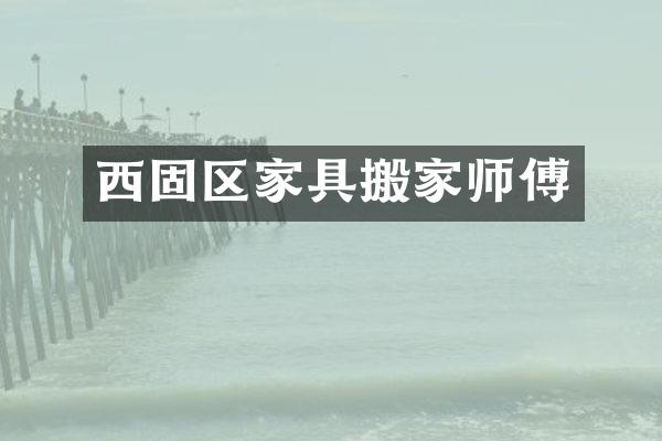 西固区家具搬家师傅