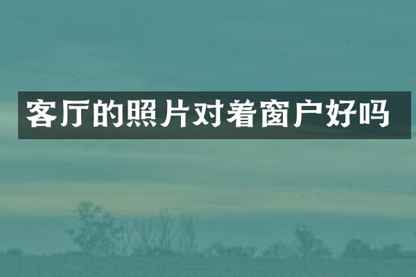 客厅的照片对着窗户好吗