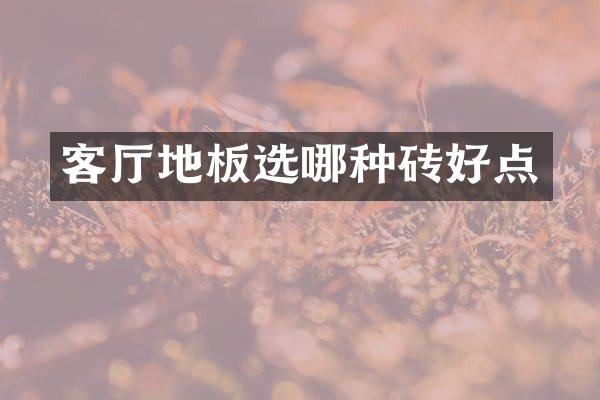 客厅地板选哪种砖好点